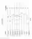 Fig. 13 - CONJUGATES OF SURROGATE LIGHT CHAIN CONSTRUCTS