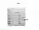 Fig. 04 - Dual specificity antibody fusions