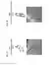 Fig. 02 - Methods of making gels and films using curli nanofibers