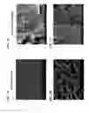 Fig. 08 - Methods of making gels and films using curli nanofibers