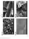 Fig. 11 - Methods of making gels and films using curli nanofibers