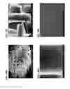 Fig. 13 - Methods of making gels and films using curli nanofibers