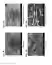 Fig. 36 - Methods of making gels and films using curli nanofibers