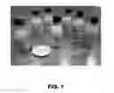 Fig. 02 - Polystyrene adhesive