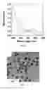 Fig. 03 - Colloidal suspension of gold nanoparticles