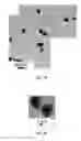 Fig. 05 - Colloidal suspension of gold nanoparticles