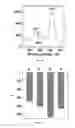 Fig. 08 - Colloidal suspension of gold nanoparticles