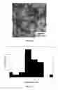 Fig. 17 - Colloidal suspension of gold nanoparticles