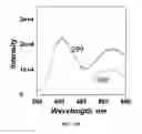 Fig. 19 - Colloidal suspension of gold nanoparticles