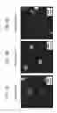 Fig. 04 - LIGHT-EMITTING NANOPARTICLES, CELL DETECTION METHOD USING SAME, ANIMAL TREATMENT METHOD, MEDICAL DEVICE, CELL VISUALIZATION METHOD, AND METHOD FOR REDUCING INJURY TO CELL