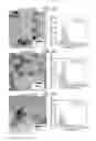 Fig. 09 - LIGHT-EMITTING NANOPARTICLES, CELL DETECTION METHOD USING SAME, ANIMAL TREATMENT METHOD, MEDICAL DEVICE, CELL VISUALIZATION METHOD, AND METHOD FOR REDUCING INJURY TO CELL