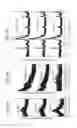 Fig. 10 - LIGHT-EMITTING NANOPARTICLES, CELL DETECTION METHOD USING SAME, ANIMAL TREATMENT METHOD, MEDICAL DEVICE, CELL VISUALIZATION METHOD, AND METHOD FOR REDUCING INJURY TO CELL