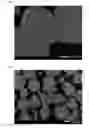 Fig. 03 - Rare earth aluminate fluorescent material, and method for producing the same