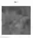 Fig. 02 - AGENT FOR DECREASING FLUIDITY OF SOLID-LIQUID MIXTURE, AND METHOD FOR PRODUCING LOW-FLUIDITY MIXTURE
