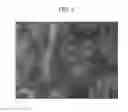 Fig. 03 - AGENT FOR DECREASING FLUIDITY OF SOLID-LIQUID MIXTURE, AND METHOD FOR PRODUCING LOW-FLUIDITY MIXTURE