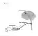 Fig. 02 - Neuron cultivation device, neuron cultivating method, cultivated neuron, analysis and identification of protein in axon bundle, and usage of cultivated neuron
