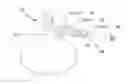 Fig. 01 - DEVICES AND METHODS FOR MAGNETIC ISOLATION AND ANALYSIS OF RARE CELLS
