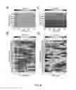 Fig. 09 - Nucleic acid and other compositions and methods for the modulation of cell membranes