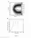 Fig. 12 - Nucleic acid and other compositions and methods for the modulation of cell membranes