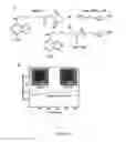 Fig. 23 - Nucleic acid and other compositions and methods for the modulation of cell membranes