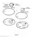Fig. 32 - Nucleic acid and other compositions and methods for the modulation of cell membranes