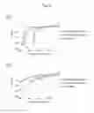 Fig. 04 - METHOD OF MANUFACTURING CELL-NANOSCALE THIN FILM COMPOSITE