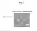 Fig. 05 - METHOD OF MANUFACTURING CELL-NANOSCALE THIN FILM COMPOSITE