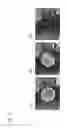 Fig. 06 - METHOD OF MANUFACTURING CELL-NANOSCALE THIN FILM COMPOSITE