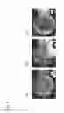 Fig. 07 - METHOD OF MANUFACTURING CELL-NANOSCALE THIN FILM COMPOSITE