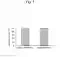 Fig. 08 - METHOD OF MANUFACTURING CELL-NANOSCALE THIN FILM COMPOSITE