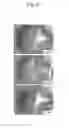 Fig. 10 - METHOD OF MANUFACTURING CELL-NANOSCALE THIN FILM COMPOSITE