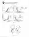 Fig. 02 - Induced Stem Memory T-Cells and Methods of Use Thereof