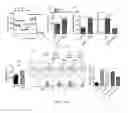 Fig. 06 - Induced Stem Memory T-Cells and Methods of Use Thereof
