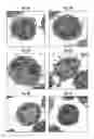 Fig. 07 - COMPOSITIONS AND METHODS FOR PERFORMING MAGNETIBUOYANT SEPARATIONS
