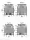 Fig. 17 - COMPOSITIONS AND METHODS FOR PERFORMING MAGNETIBUOYANT SEPARATIONS