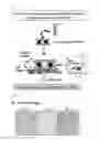 Fig. 02 - Technique for Enhancing Stem Cell Regeneration Through Interaction of Vascular Endothelial Cell and Mesenchymal Stem Cell