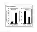 Fig. 07 - Technique for Enhancing Stem Cell Regeneration Through Interaction of Vascular Endothelial Cell and Mesenchymal Stem Cell