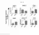 Fig. 06 - Generation of glucose-responsive beta cells