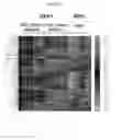 Fig. 07 - Generation of glucose-responsive beta cells