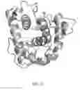 Fig. 02 - Lysozyme having improved enzymatic activity