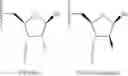 Fig. 09 - SINGLE-STRANDED RNAI OLIGONUCLEOTIDES TARGETING APOC-III