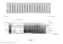 Fig. 02 - BACTERIAL LEADER SEQUENCES FOR PERlPLASMIC PROTEIN EXPRESSION