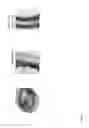 Fig. 02 - SEED-SPECIFIC AND ENDOSPERM-PREFERENTIAL PROMOTERS AND USES THEREOF