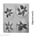 Fig. 124 - CONSTRUCT AND VECTOR FOR INTRAGENIC PLANT TRANSFORMATION