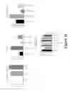 Fig. 96 - CONSTRUCT AND VECTOR FOR INTRAGENIC PLANT TRANSFORMATION