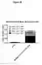 Fig. 07 - Multigenome retroviral vector preparations and methods and systems for producing and using same