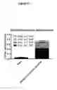 Fig. 08 - Multigenome retroviral vector preparations and methods and systems for producing and using same