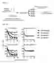 Fig. 02 - Methods for increasing efficiency of nuclease-mediated gene editing in stem cells