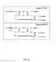 Fig. 03 - Benzylisoquinoline Alkaloid (BIA) Precursor Producing Microbes, and Methods of Making and Using the Same
