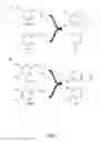 Fig. 04 - Benzylisoquinoline Alkaloid (BIA) Precursor Producing Microbes, and Methods of Making and Using the Same